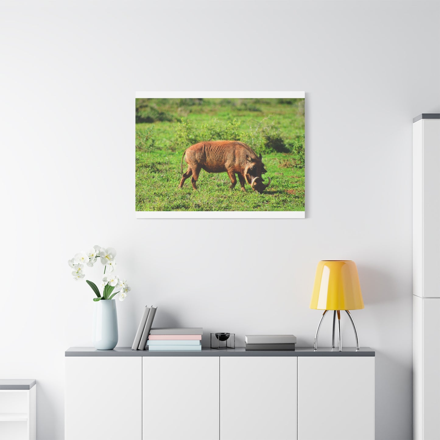 African Warthog - Canvas Print
