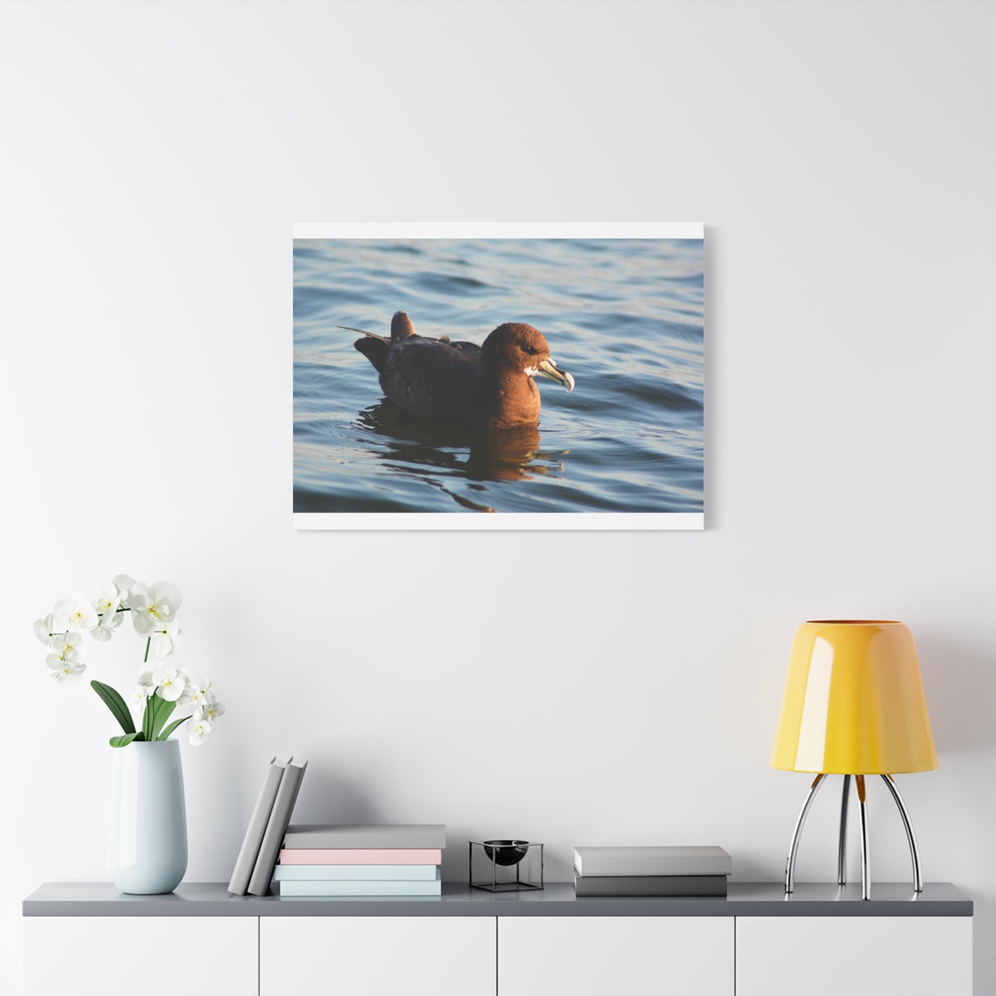 Bird Art Wall Decor, Coastal Wall Art, Ocean Decor, Nature Photography, Sea Bird Print
