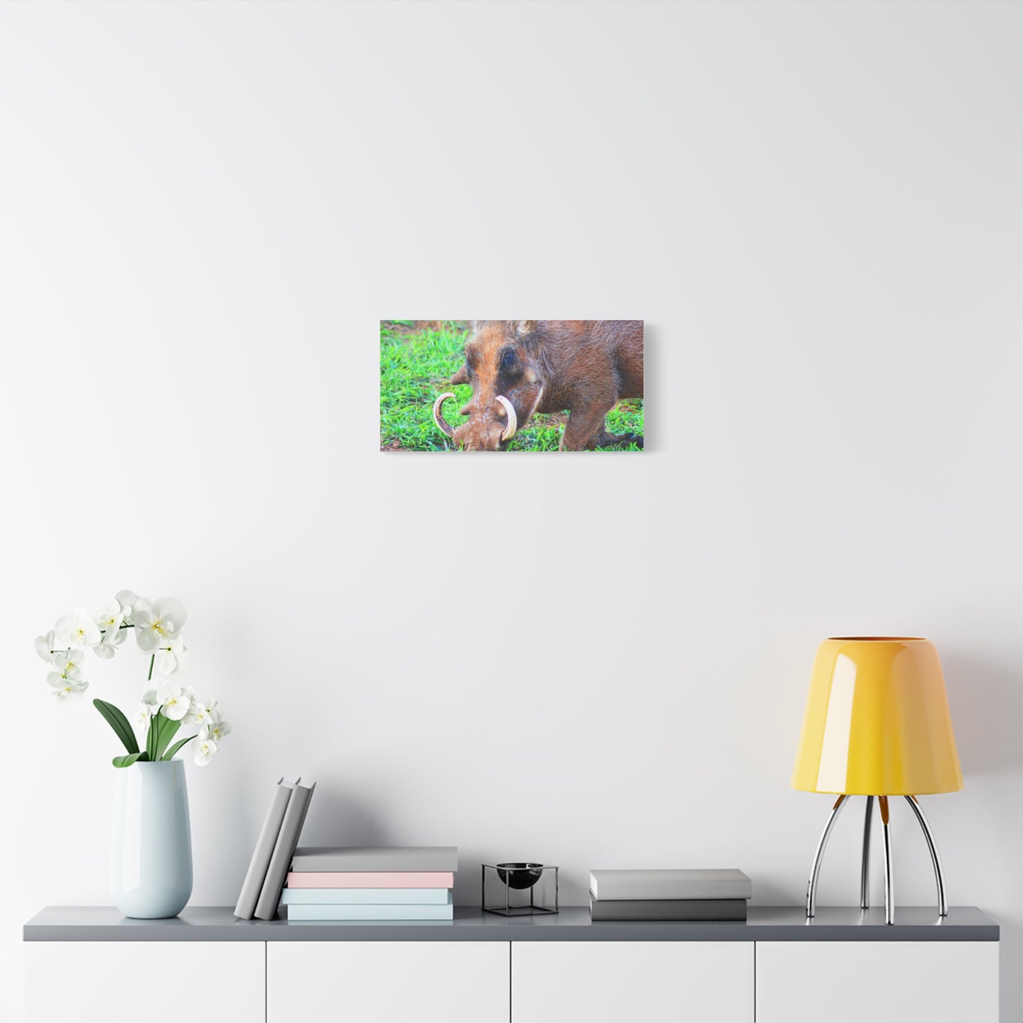 African Warthog Eating - Canvas Print