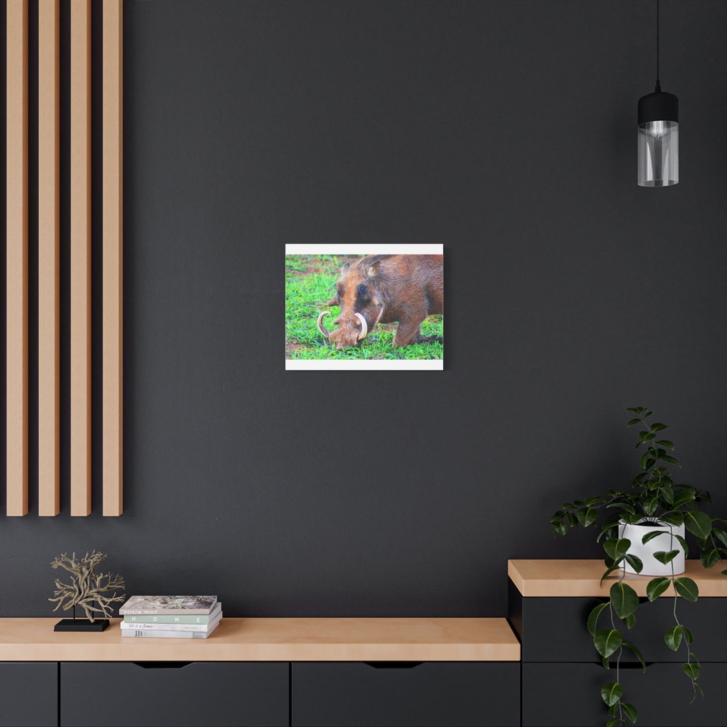 African Warthog Eating - Canvas Print