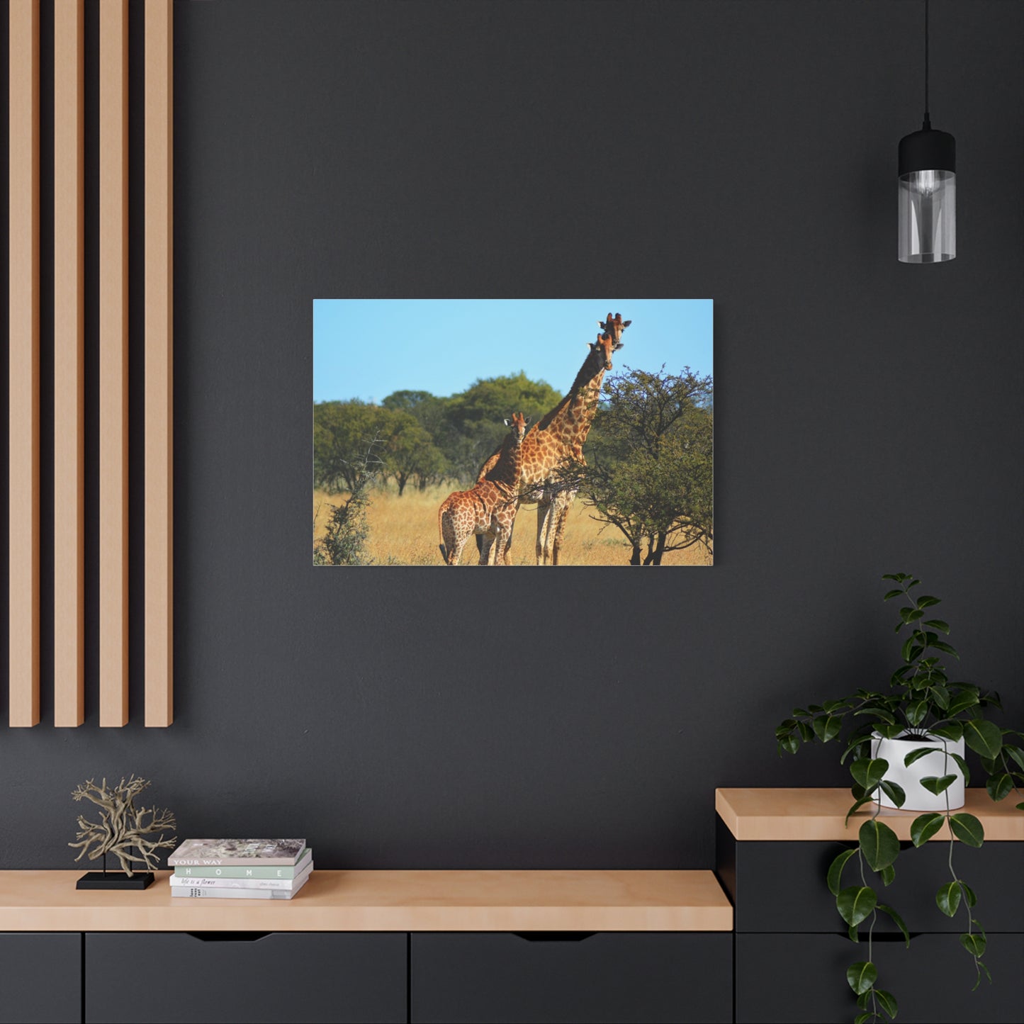 Giraffe Family in Africa