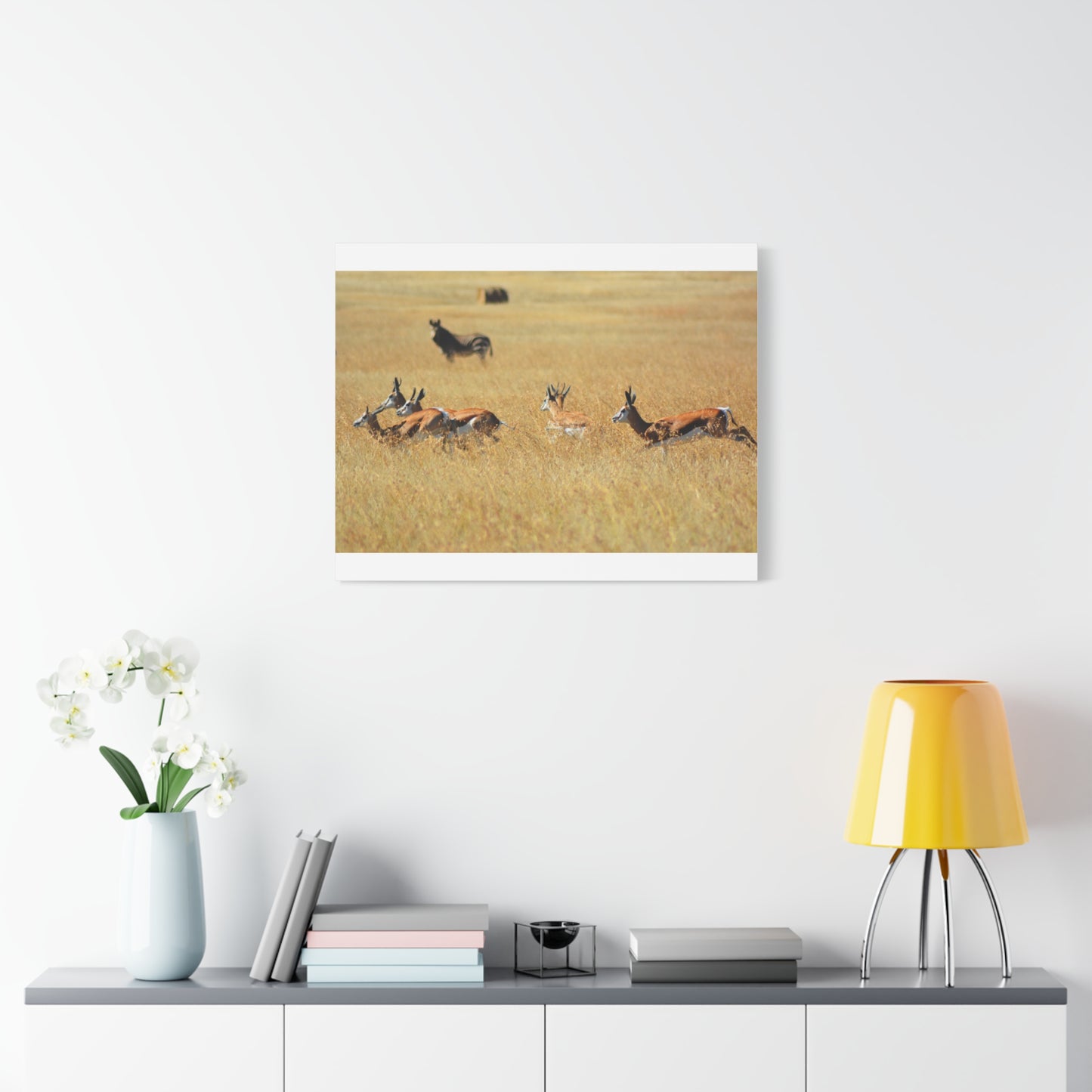Springbok Herd in African Savannah