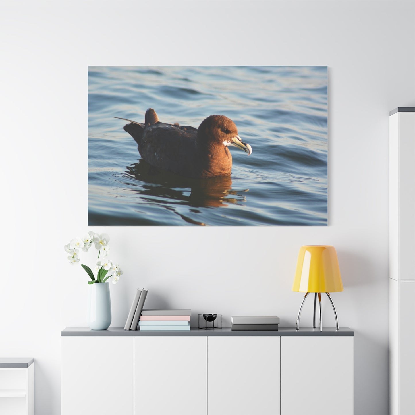 Bird Art Wall Decor, Coastal Wall Art, Ocean Decor, Nature Photography, Sea Bird Print
