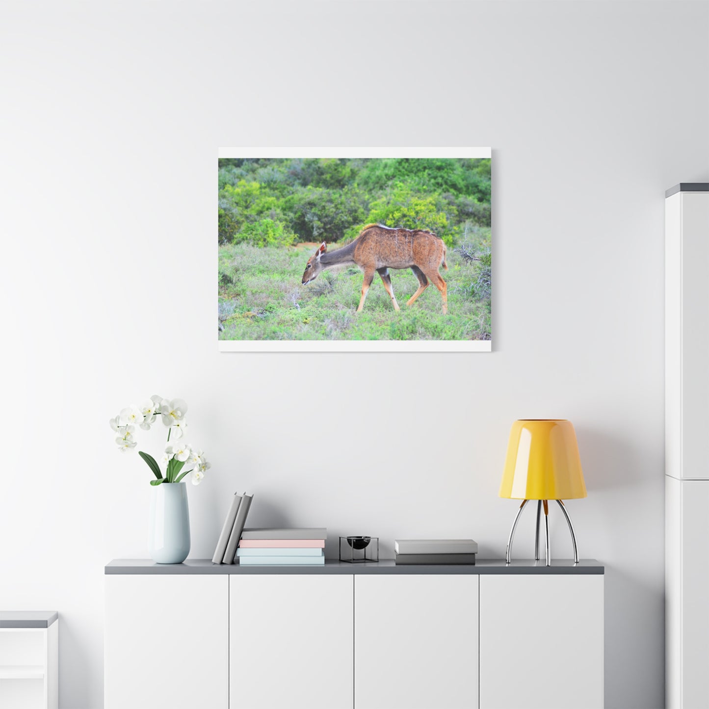 Africa Kudu Cow - Canvas Print