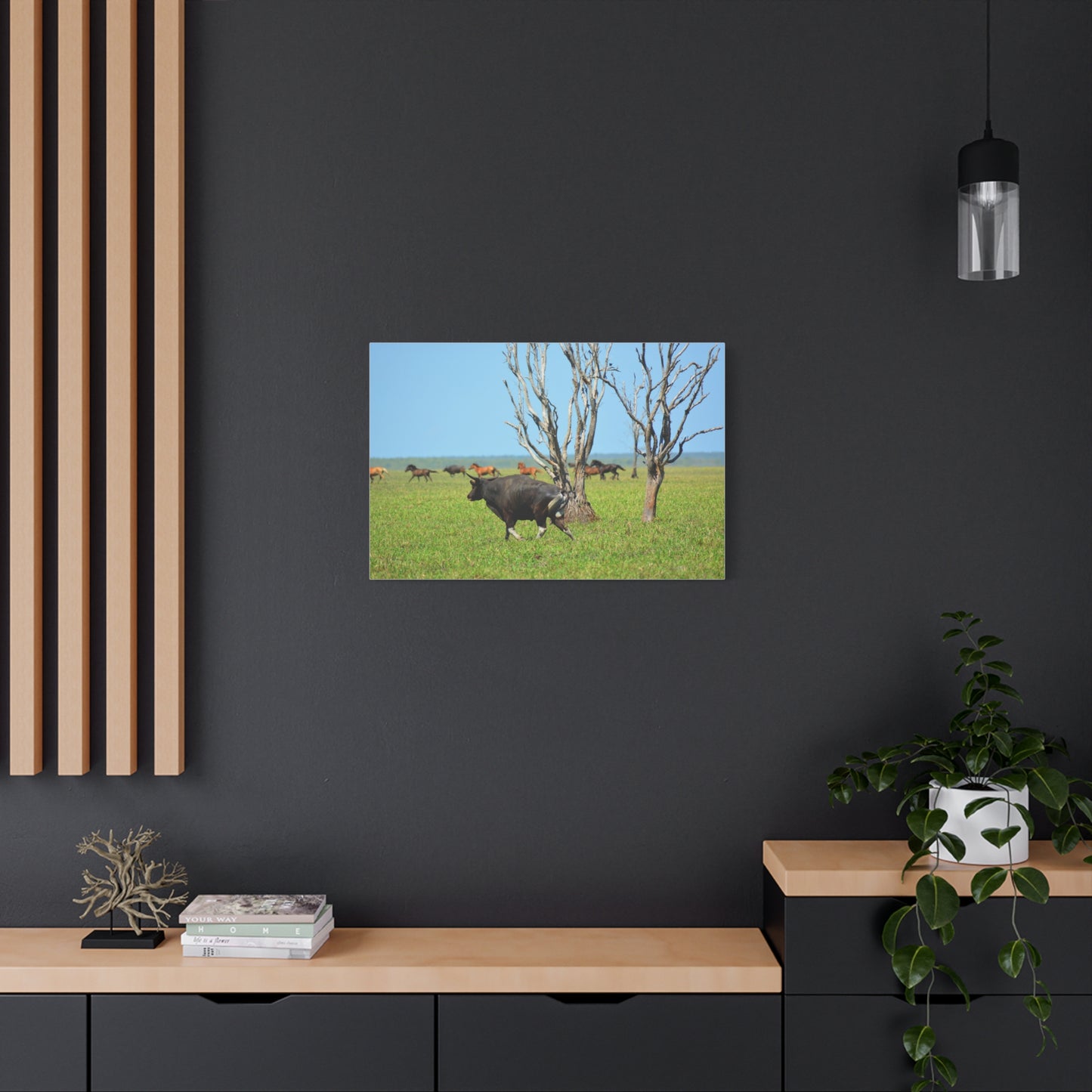 Australia Banteng - Canvas Print