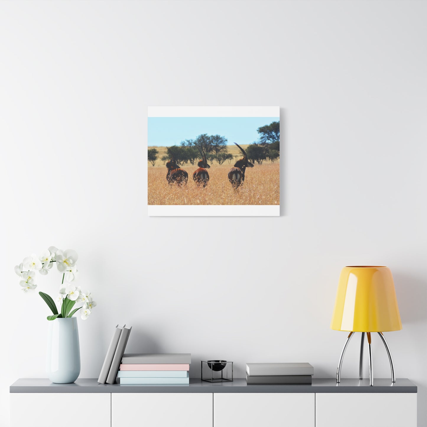 Sable Trio in Africa Canvas Print