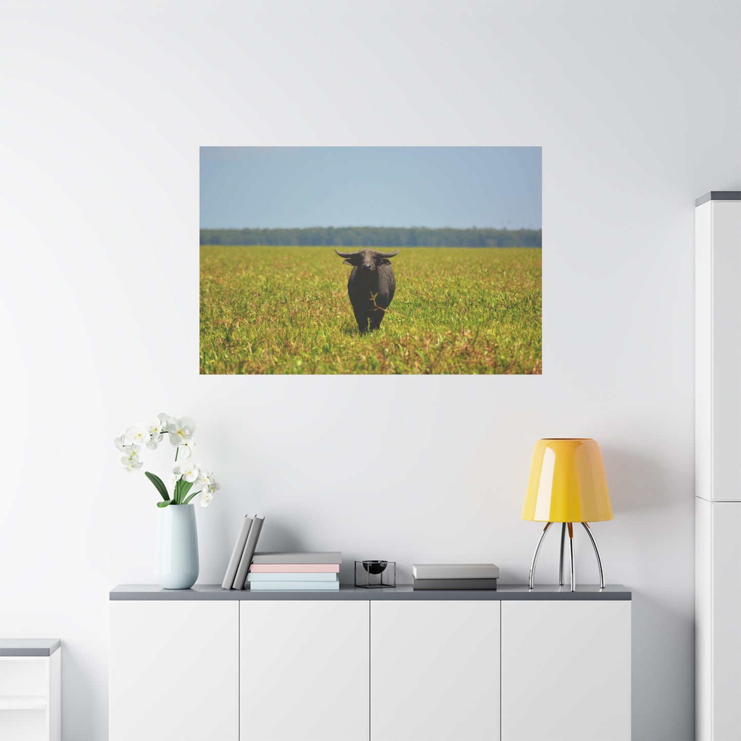 Asiatic Water Buffalo Australian Outback - Canvas Print