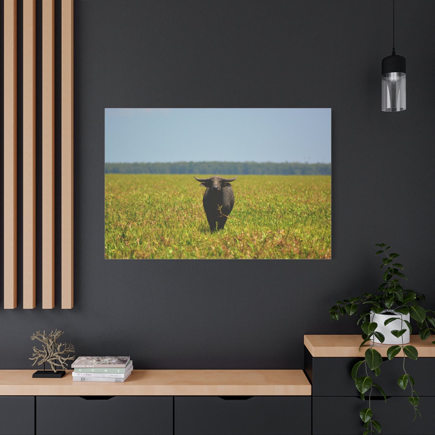 Asiatic Water Buffalo Australian Outback - Canvas Print