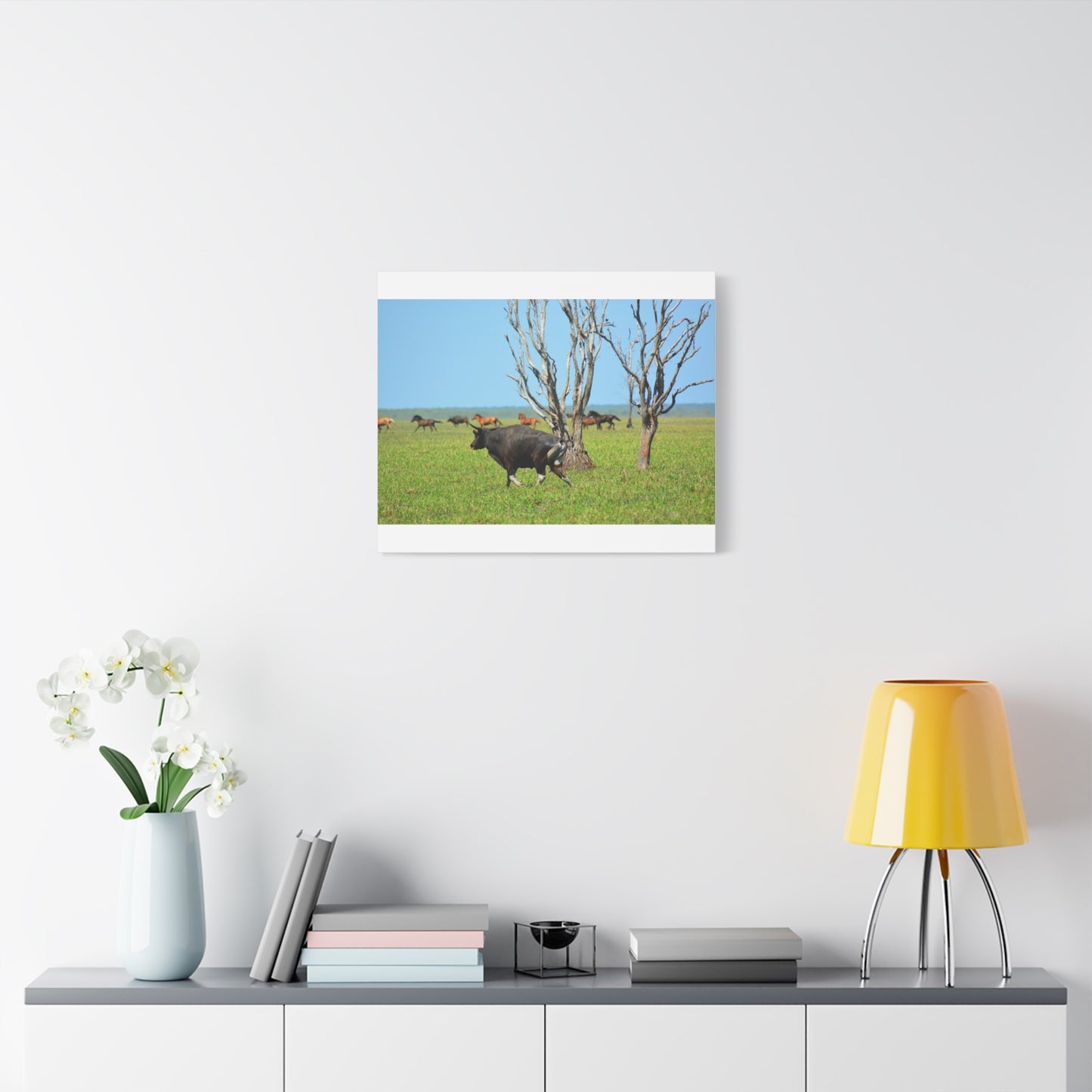 Australia Banteng - Canvas Print