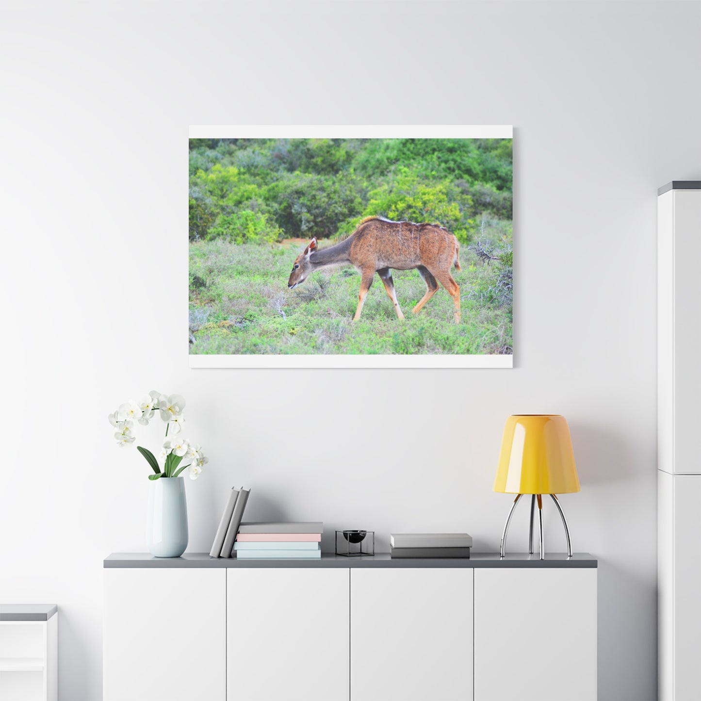 Africa Kudu Cow - Canvas Print