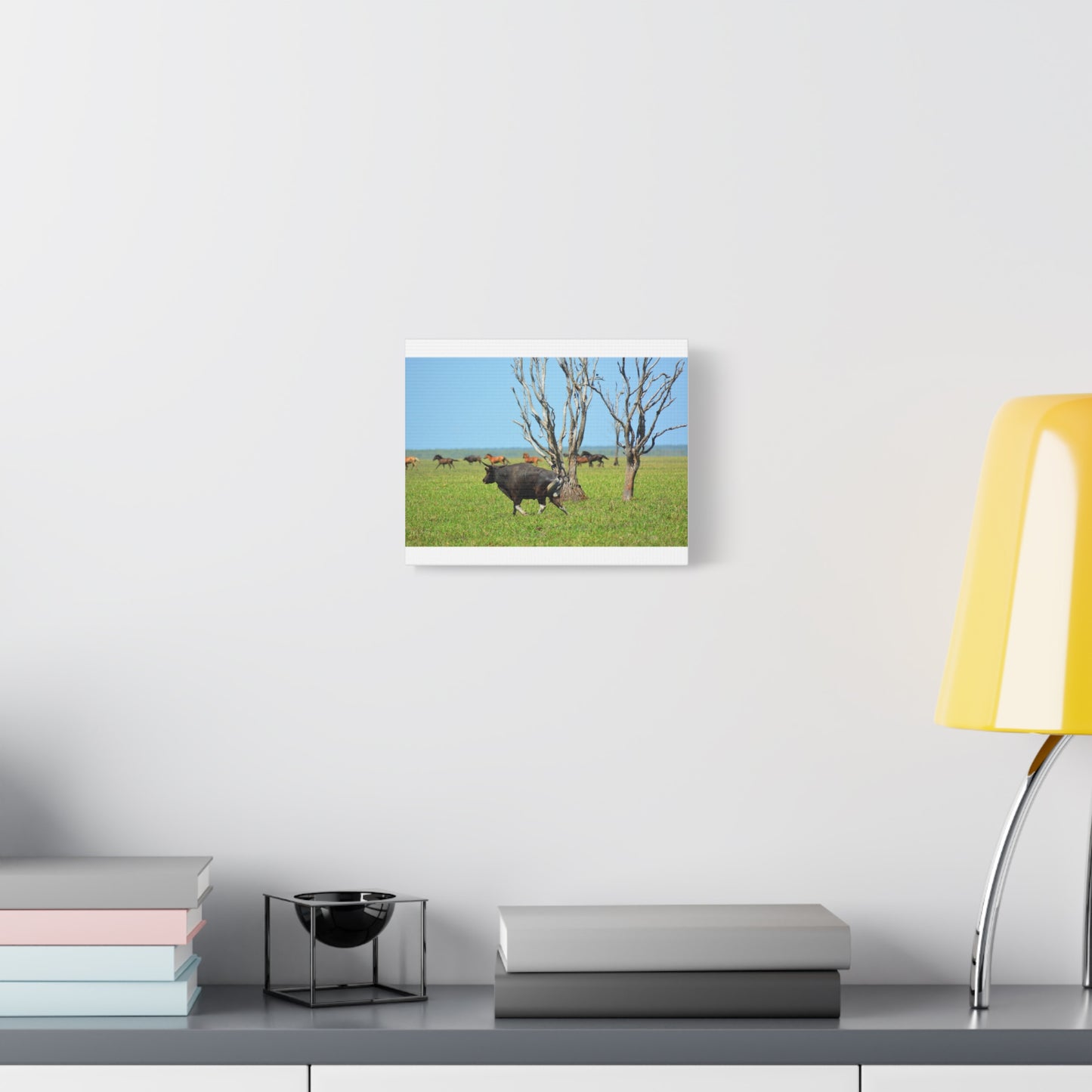 Australia Banteng - Canvas Print