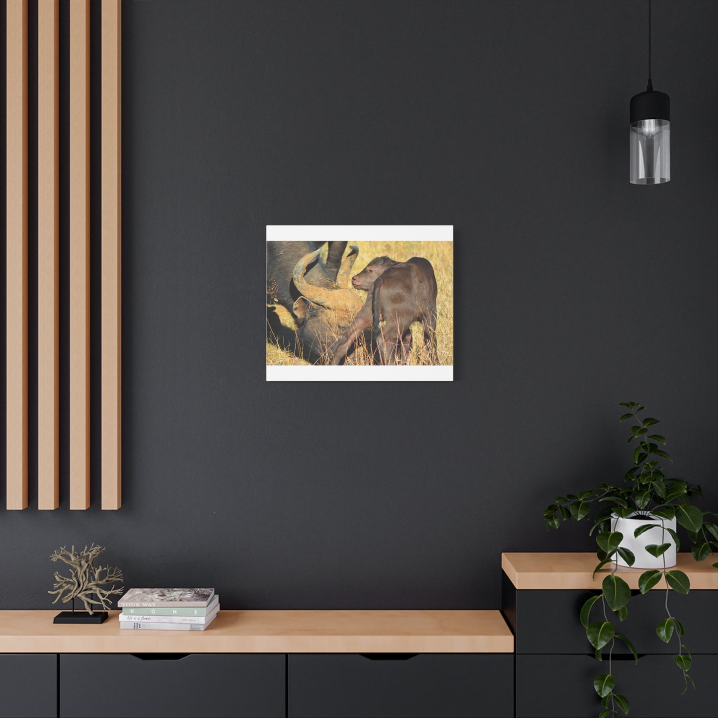 Cape Buffalo Tends to Calf