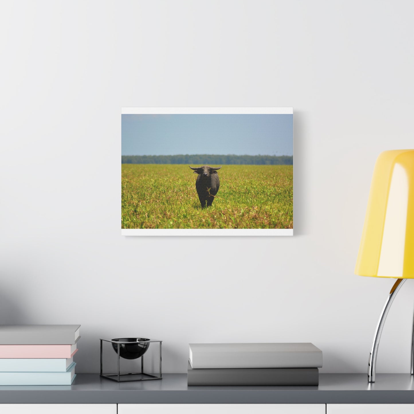 Asiatic Water Buffalo Australian Outback - Canvas Print