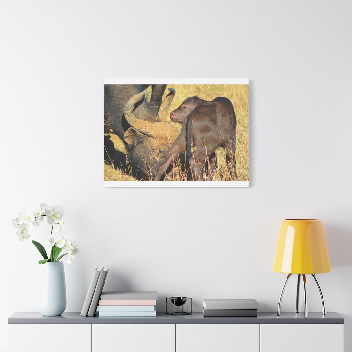 Cape Buffalo Tends to Calf