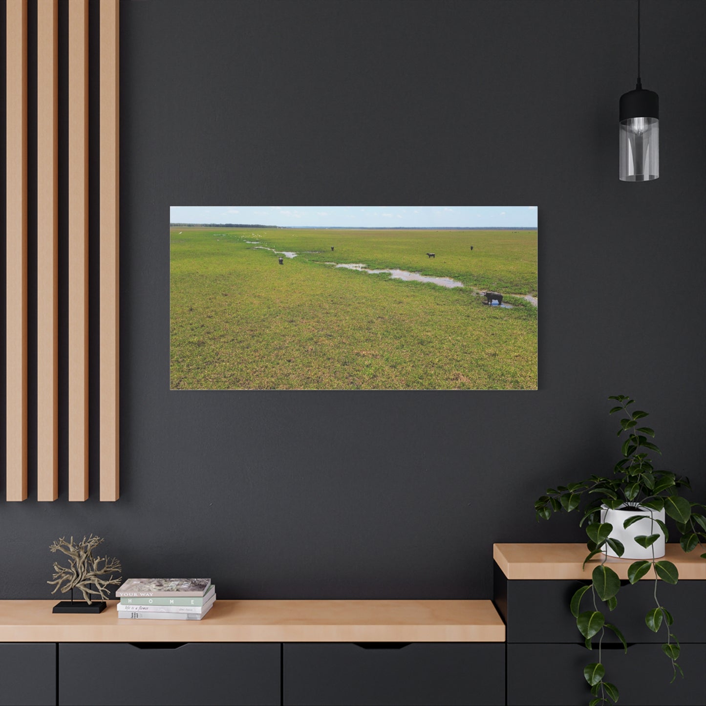 Asiatic Water Buffalo Australian Outback - Canvas Print