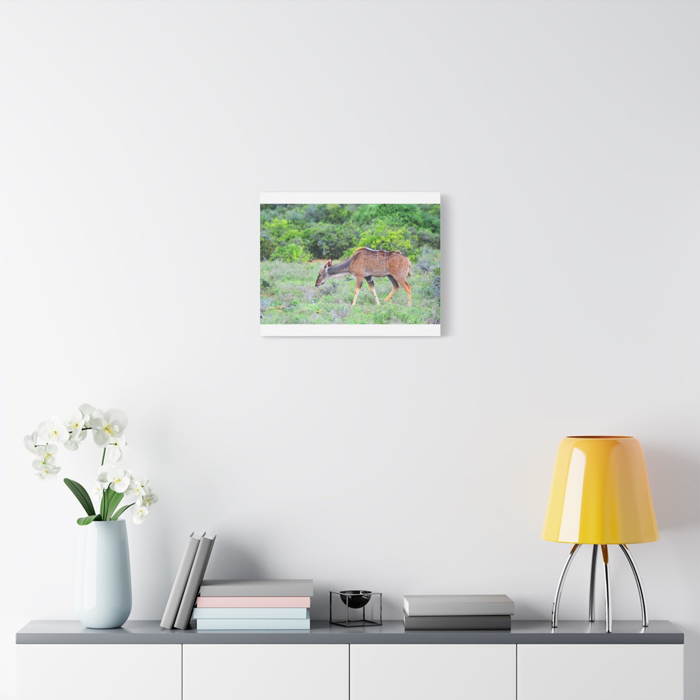 Africa Kudu Cow - Canvas Print