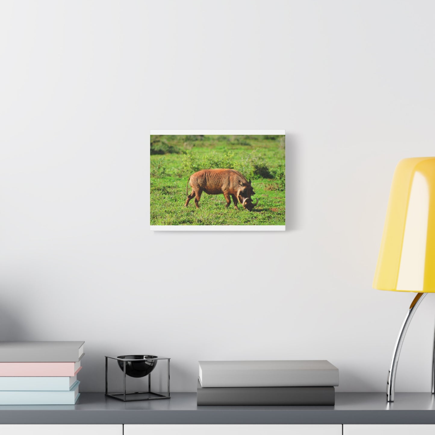 African Warthog - Canvas Print