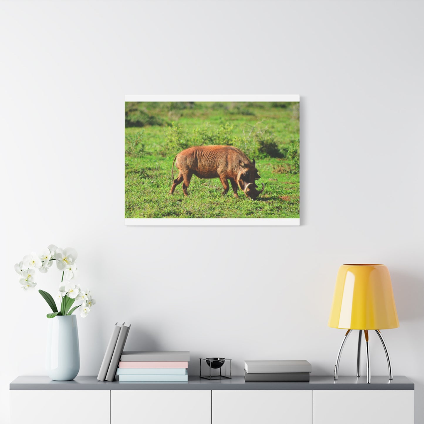 African Warthog - Canvas Print