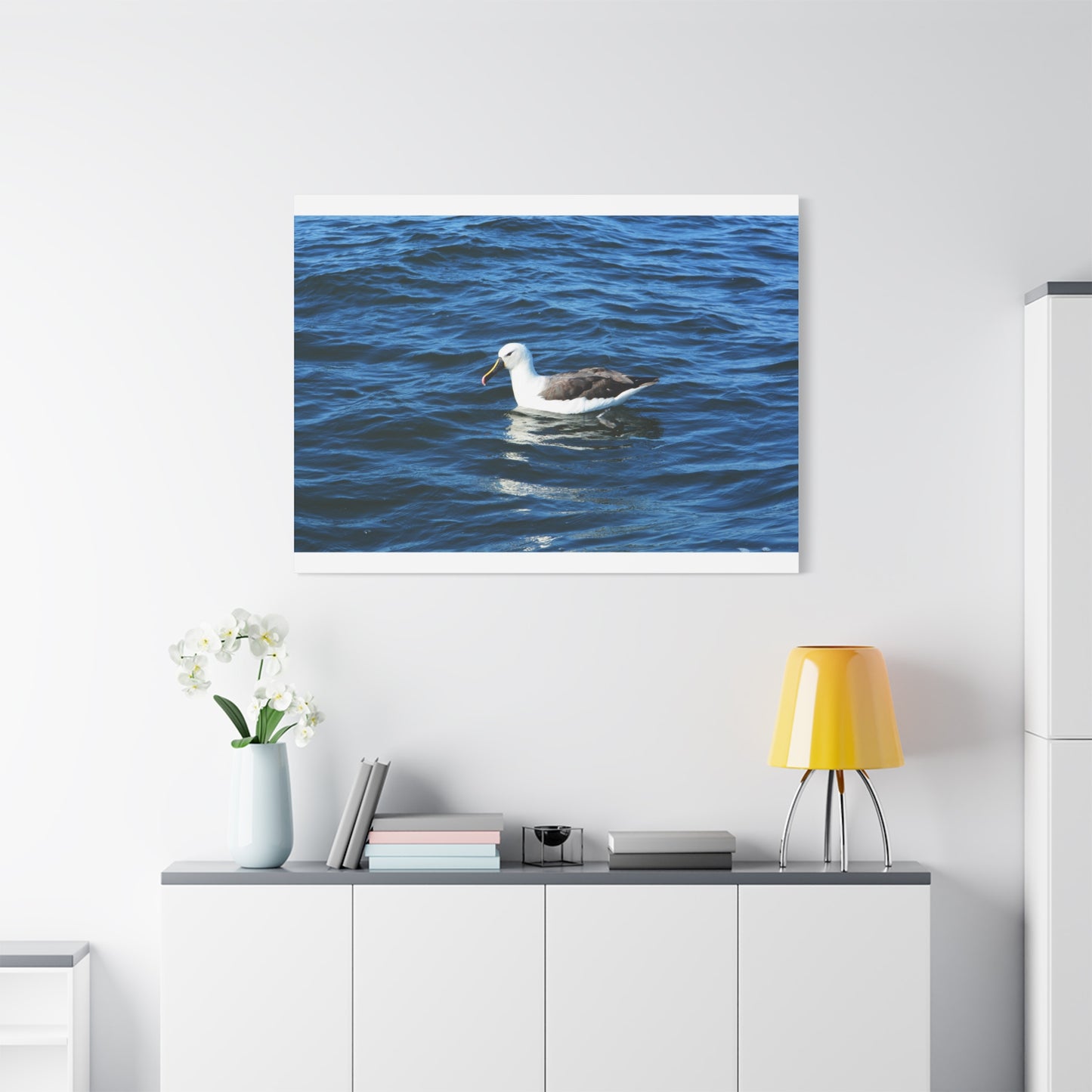 Albatross Canvas Print Sea Bird