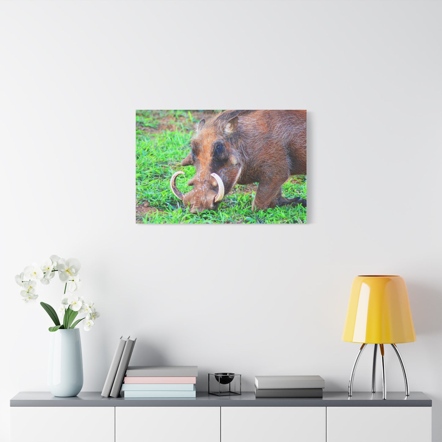 African Warthog Eating - Canvas Print