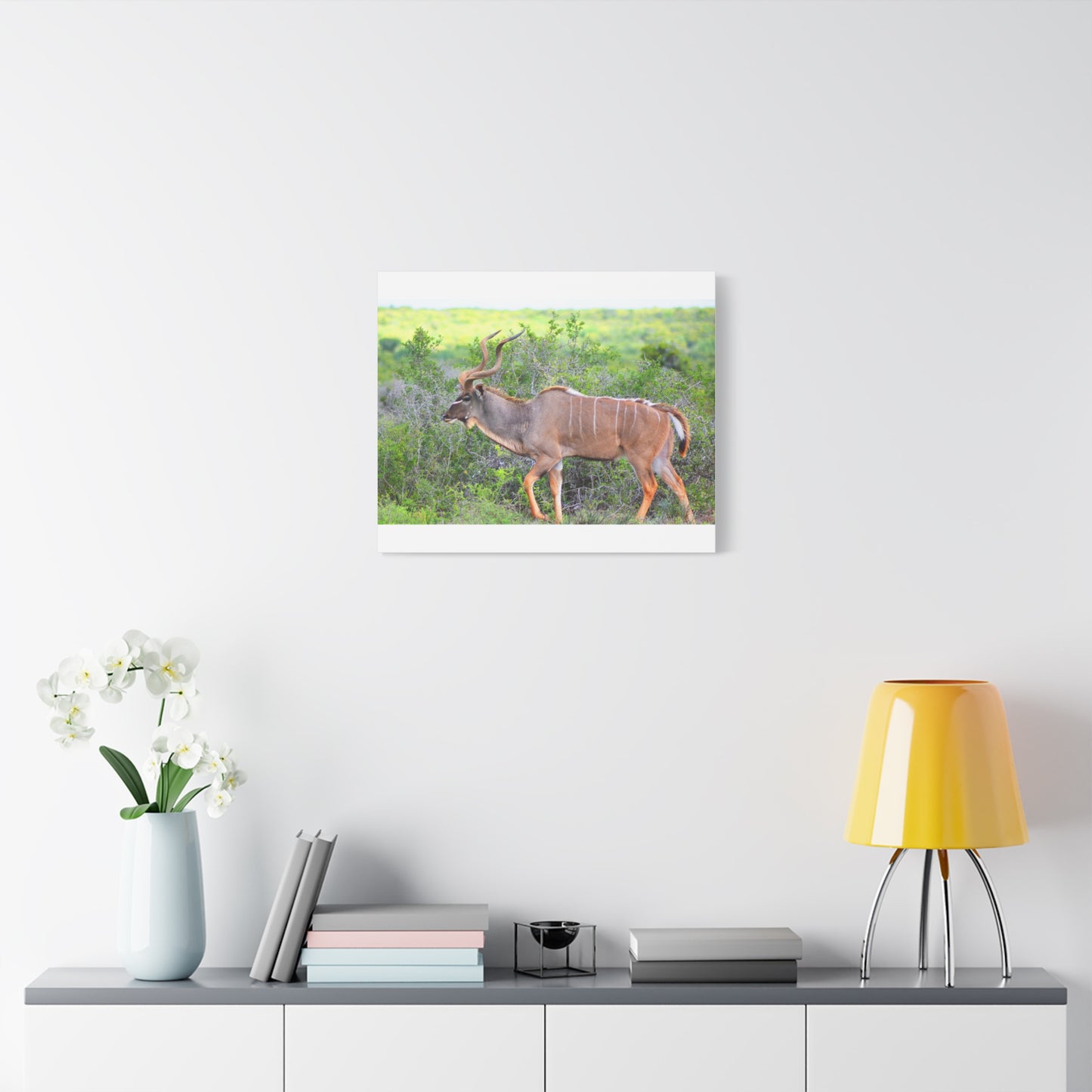Africa Kudu Bull - Canvas Print