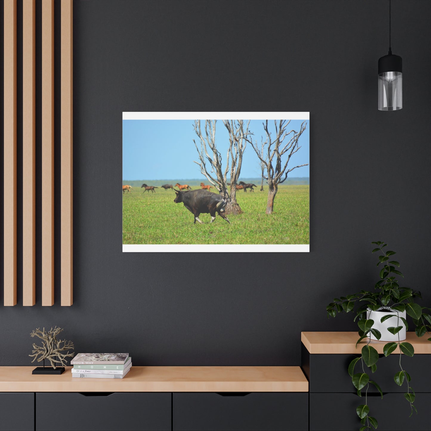 Australia Banteng - Canvas Print