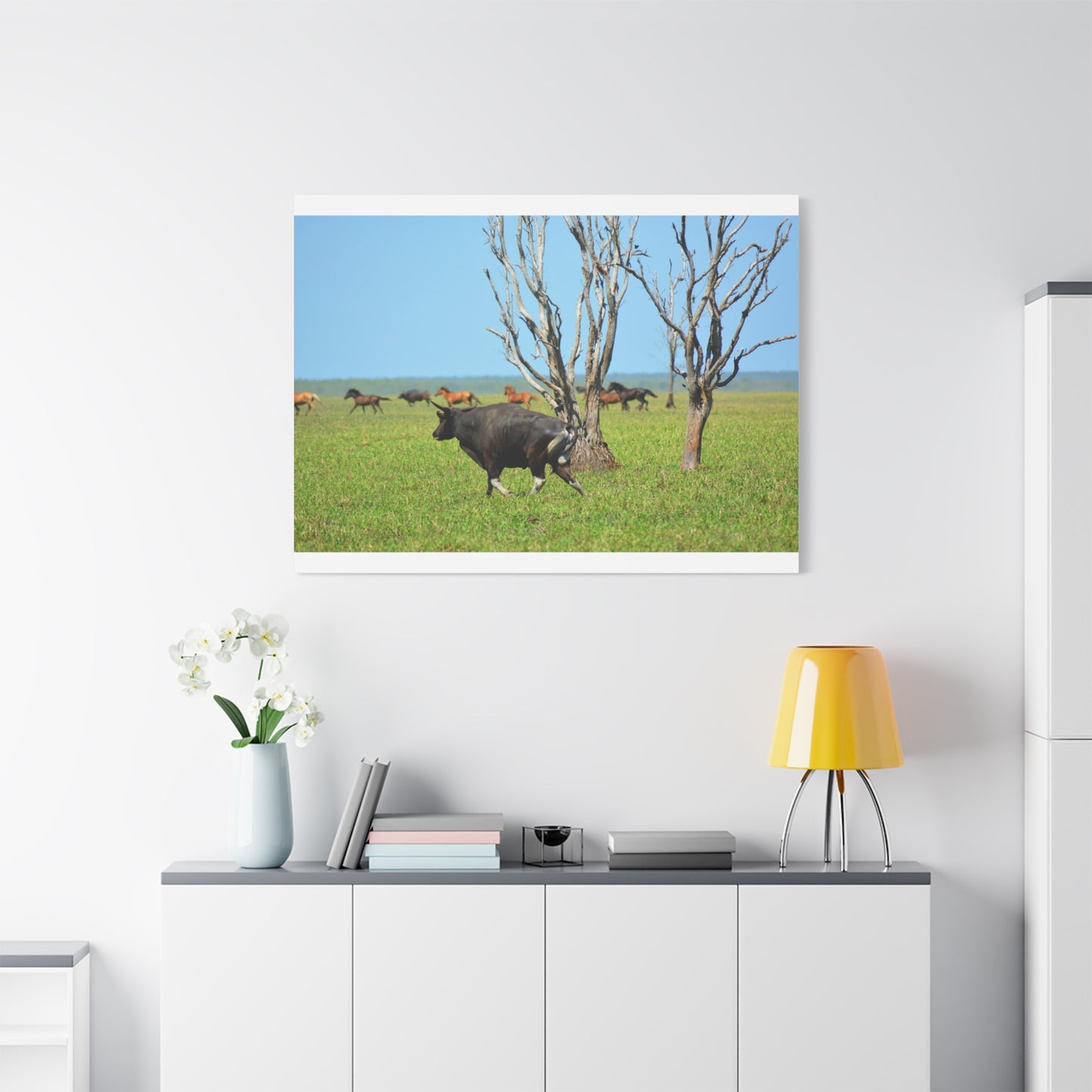 Australia Banteng - Canvas Print