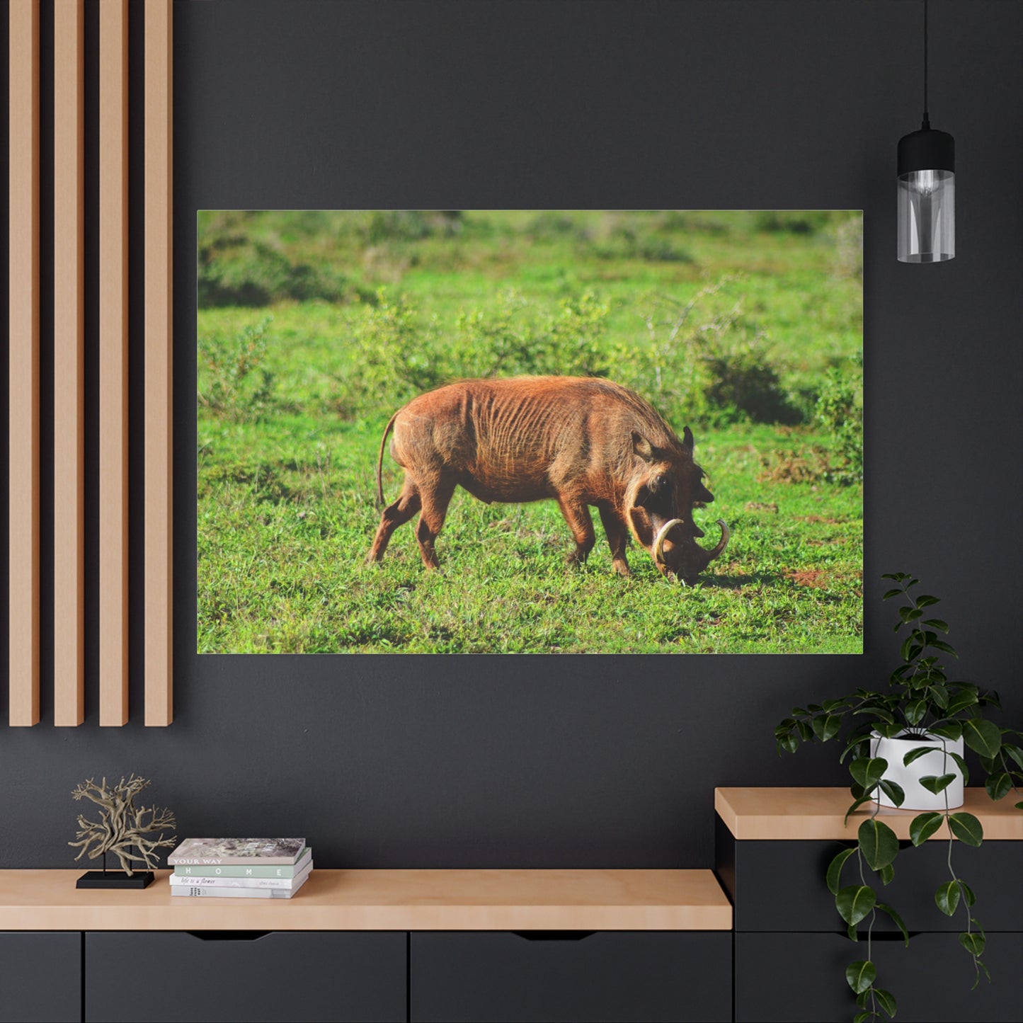 African Warthog - Canvas Print