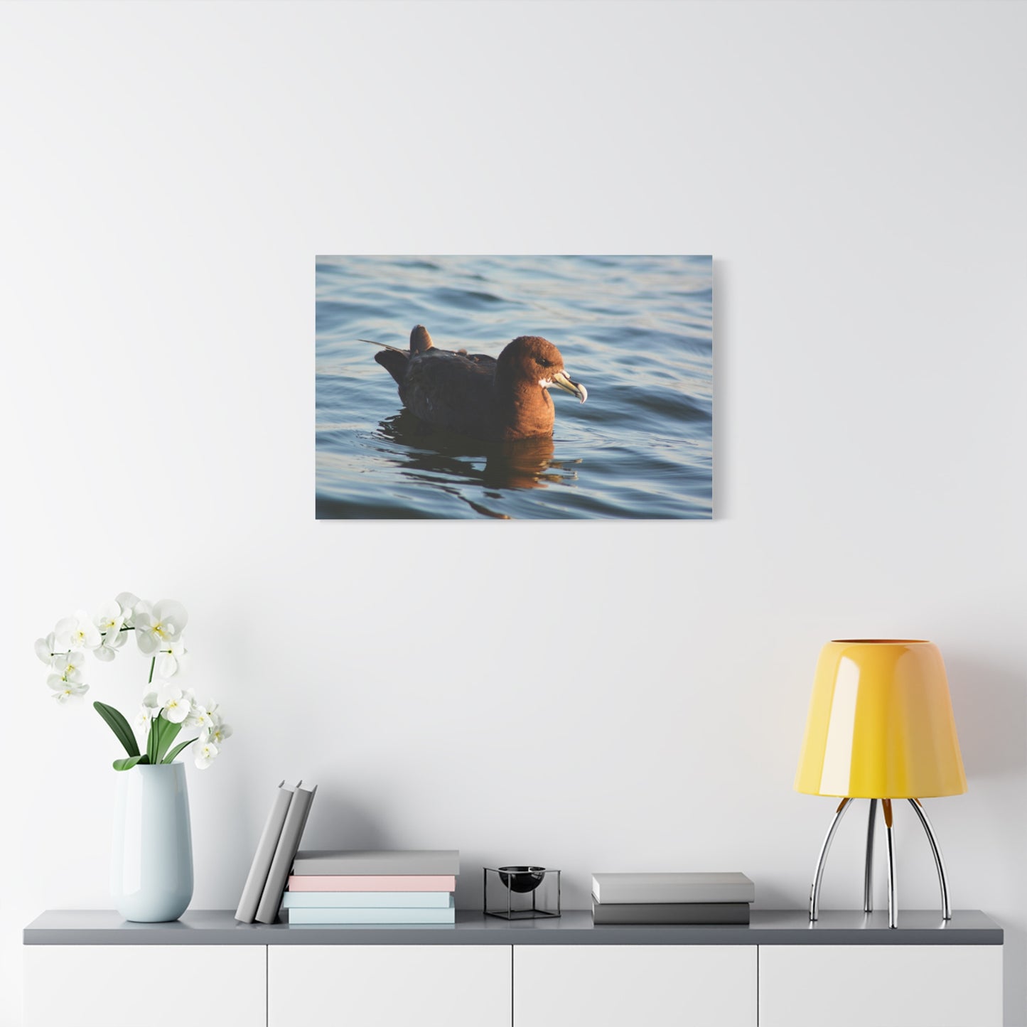 Bird Art Wall Decor, Coastal Wall Art, Ocean Decor, Nature Photography, Sea Bird Print