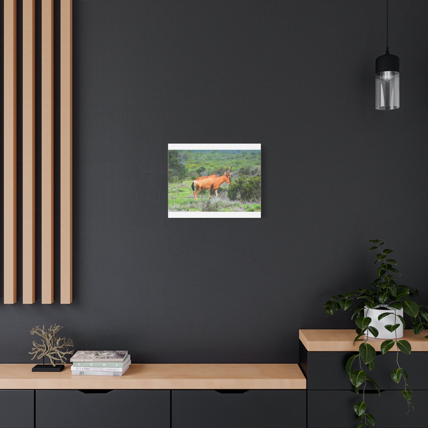 Africa Red Hartebeest - Canvas Print