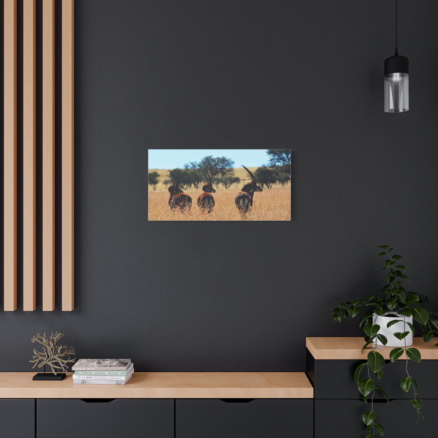 Sable Trio in Africa Canvas Print