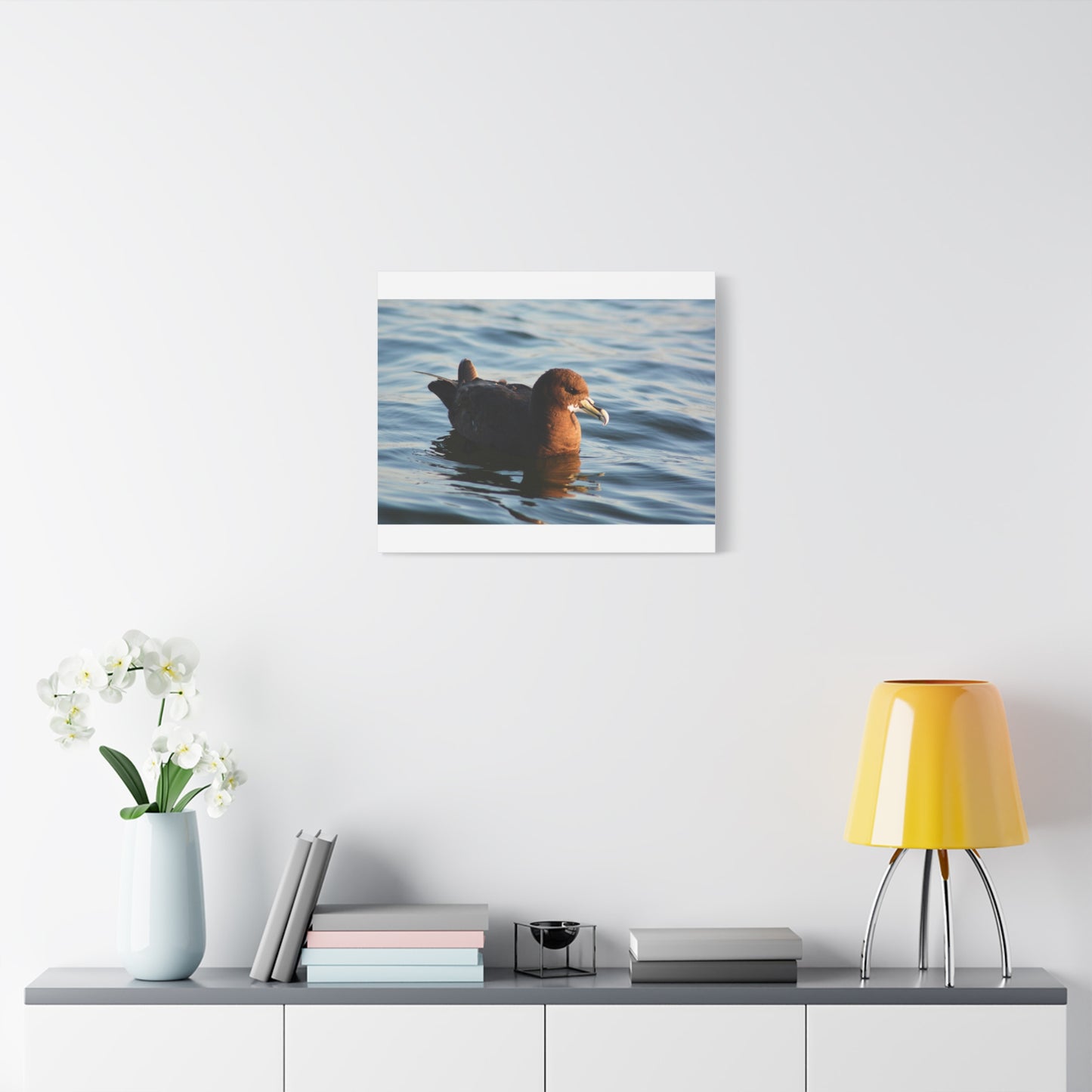 Bird Art Wall Decor, Coastal Wall Art, Ocean Decor, Nature Photography, Sea Bird Print
