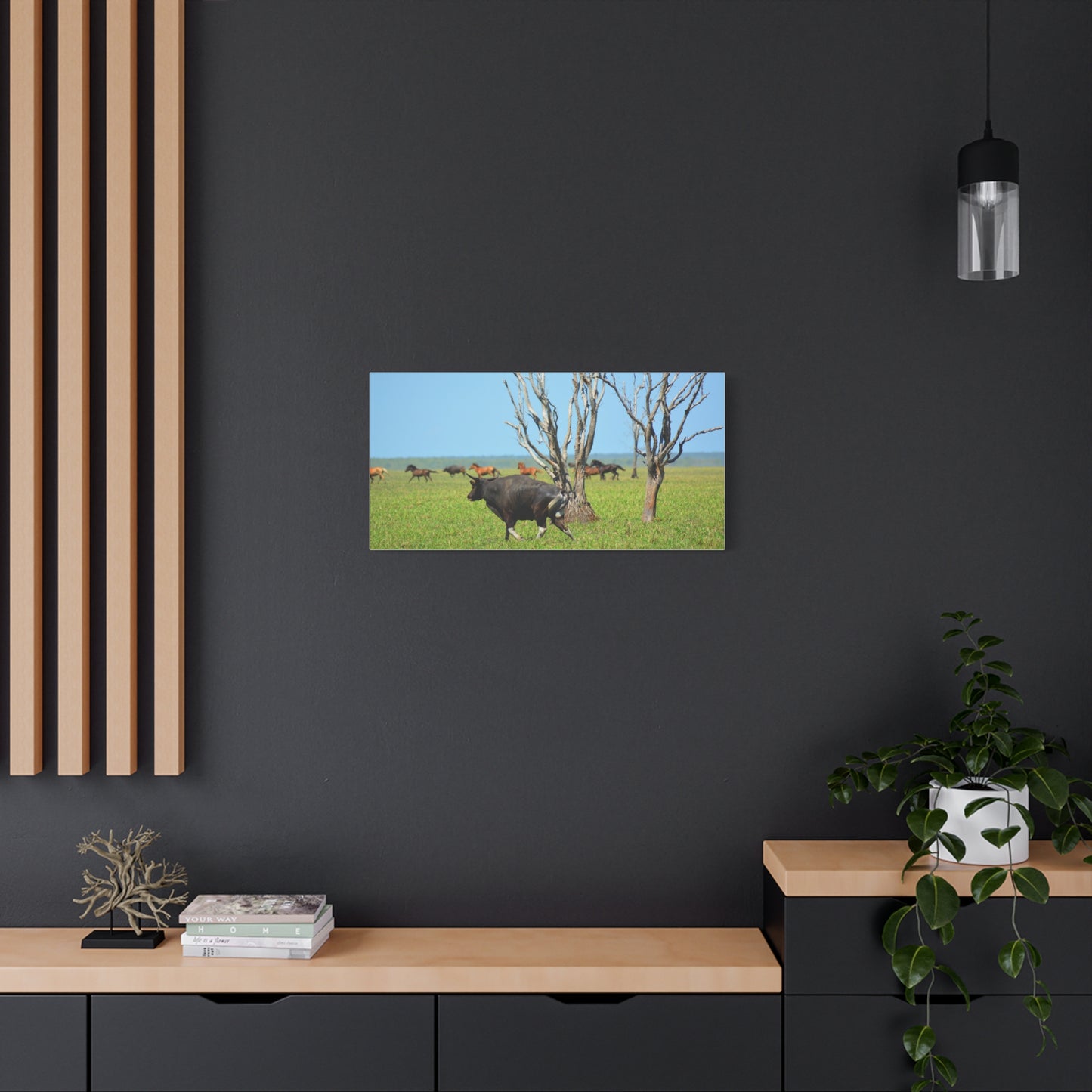 Australia Banteng - Canvas Print