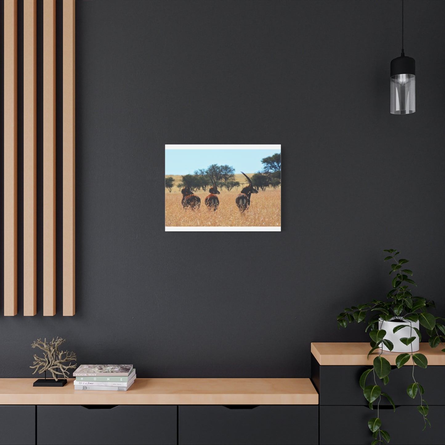 Sable Trio in Africa Canvas Print