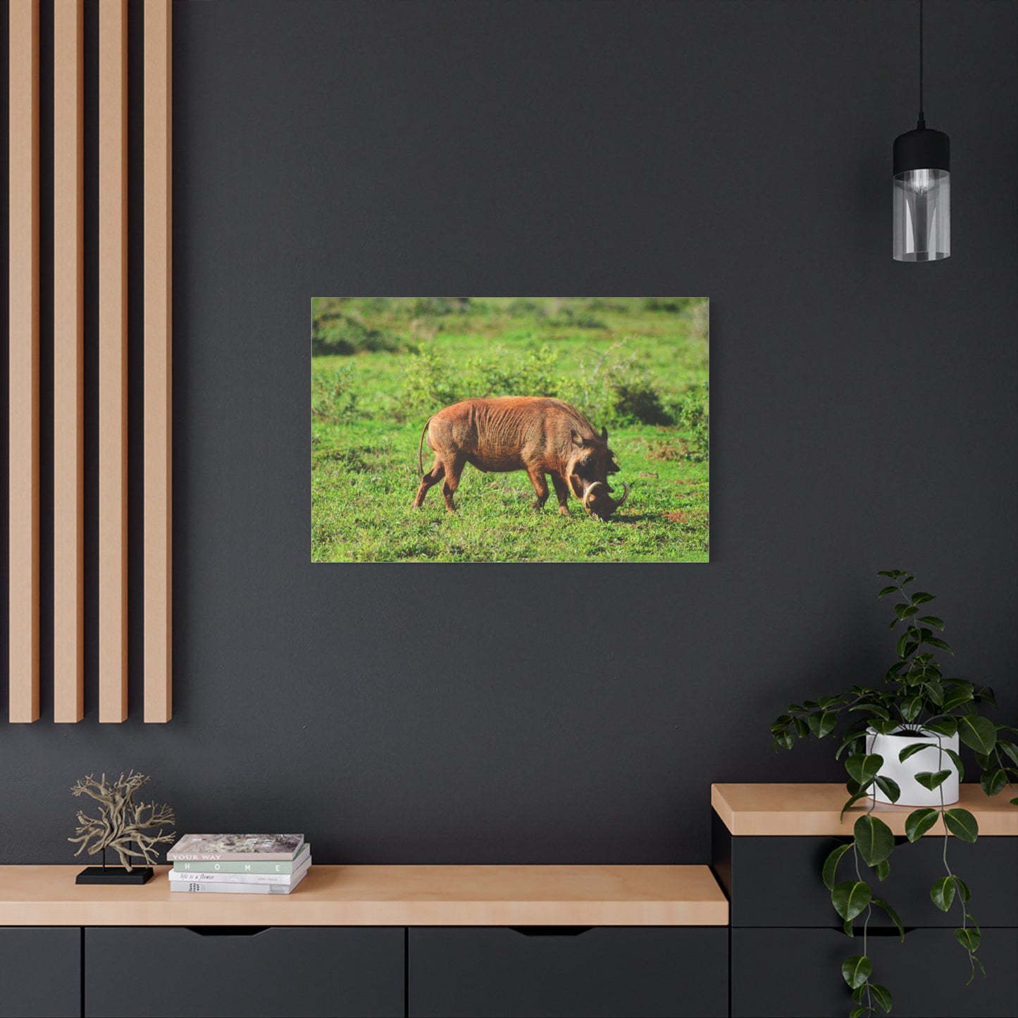 African Warthog - Canvas Print
