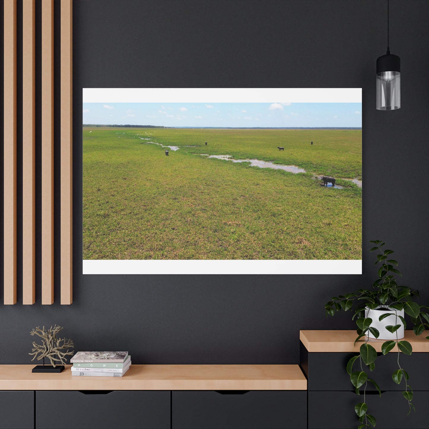 Asiatic Water Buffalo Australian Outback - Canvas Print