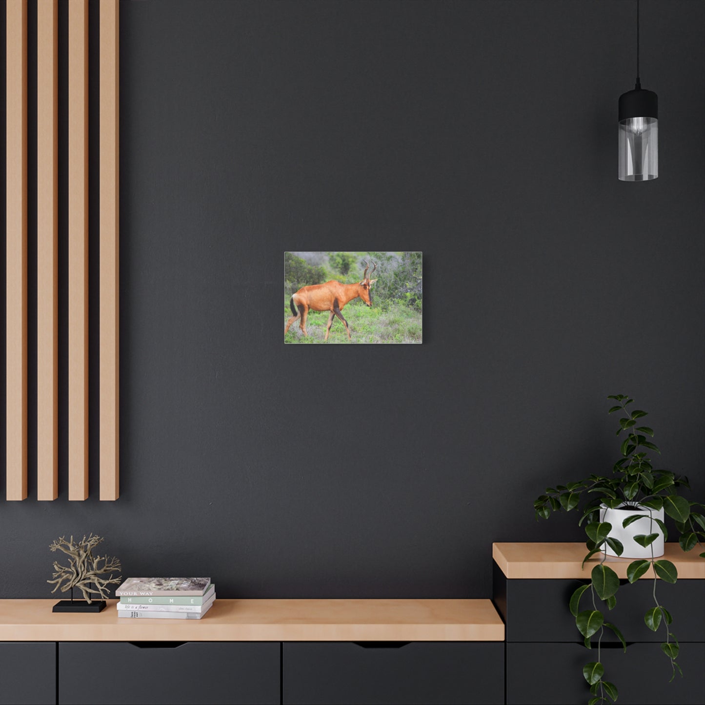 Red Hartebeest - Canvas Print