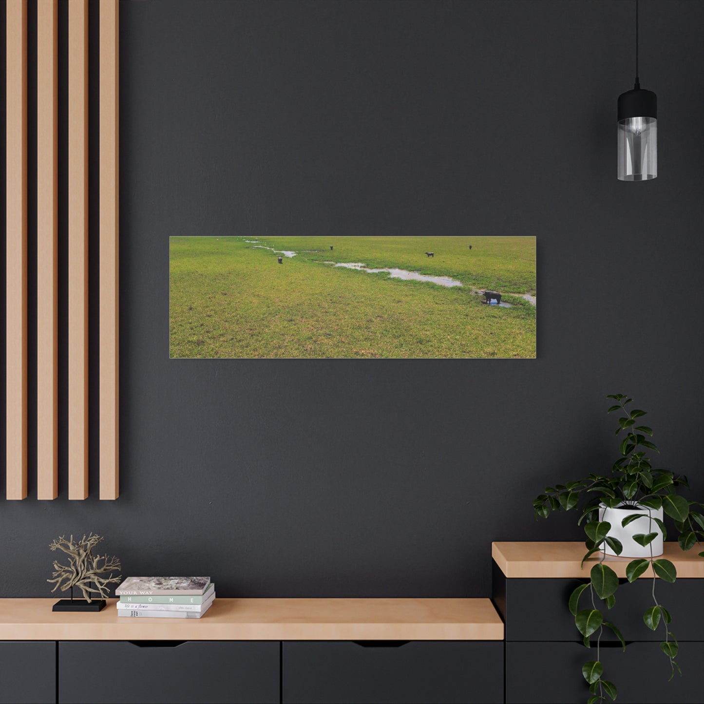 Asiatic Water Buffalo Australian Outback - Canvas Print