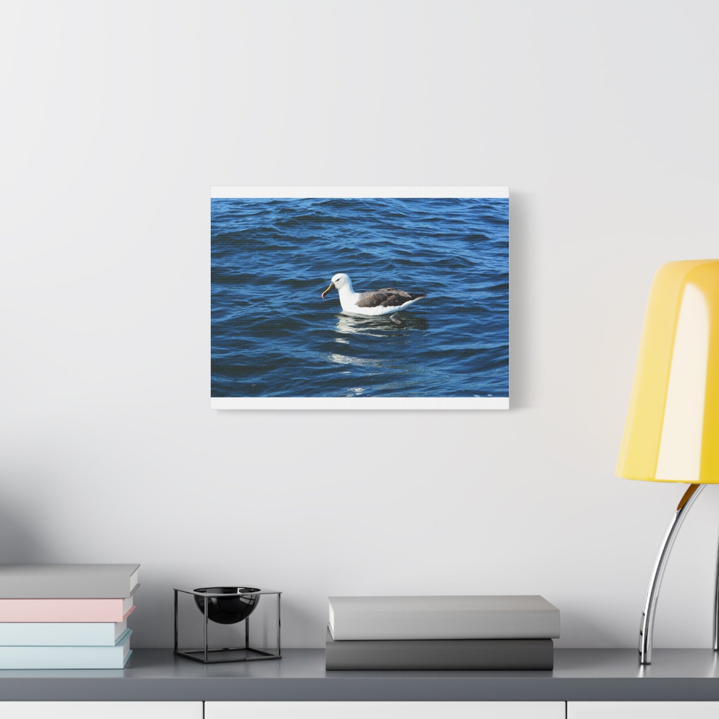 Albatross Canvas Print Sea Bird