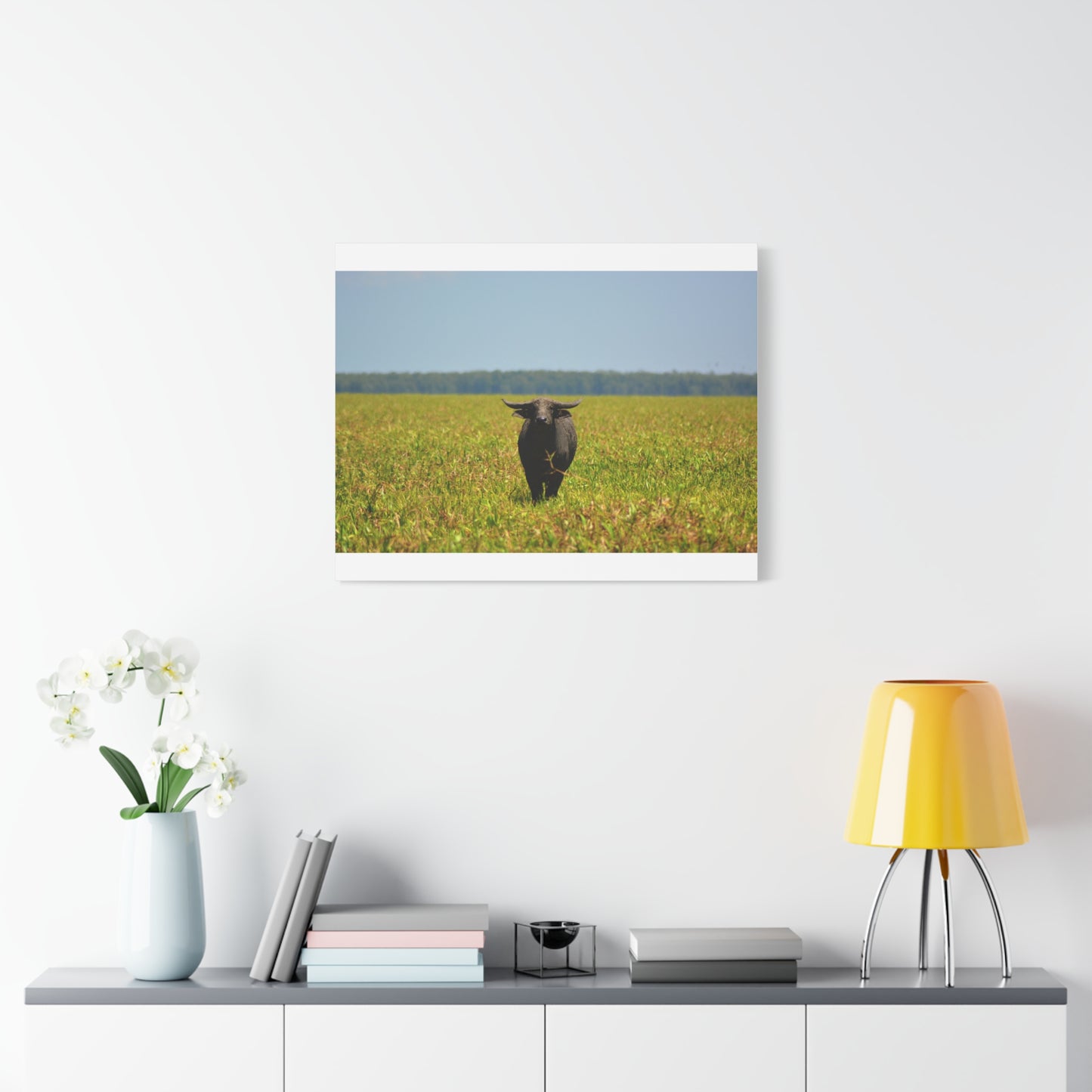 Asiatic Water Buffalo Australian Outback - Canvas Print