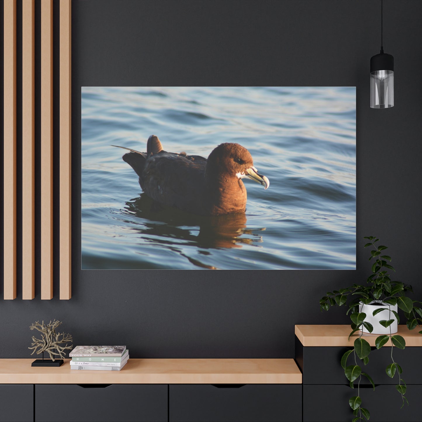 Bird Art Wall Decor, Coastal Wall Art, Ocean Decor, Nature Photography, Sea Bird Print