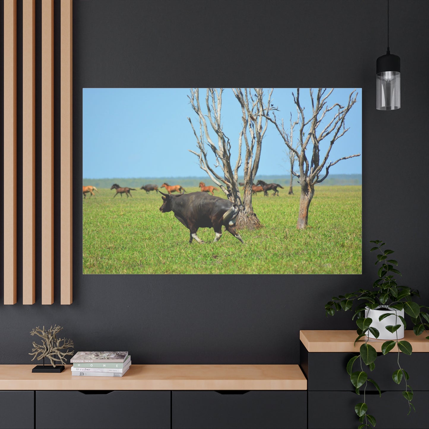 Australia Banteng - Canvas Print