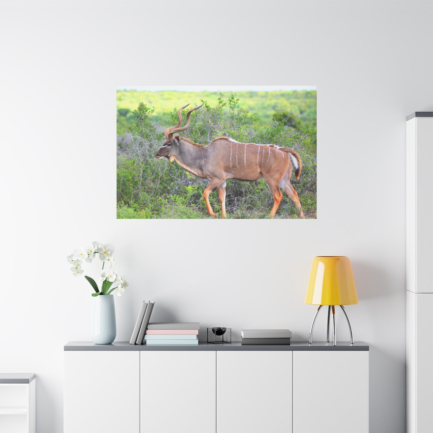 Africa Kudu Bull - Canvas Print
