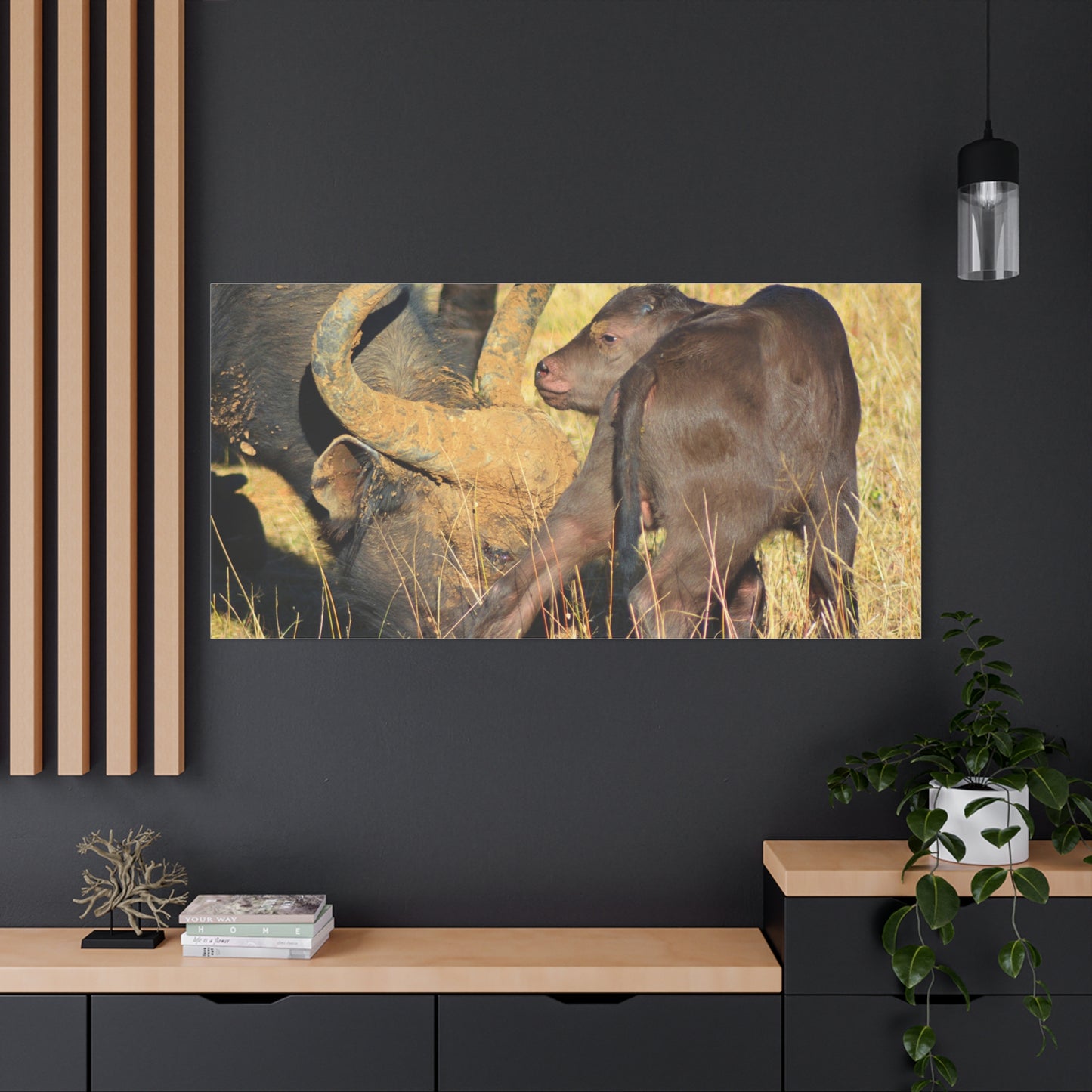 Cape Buffalo Tends to Calf