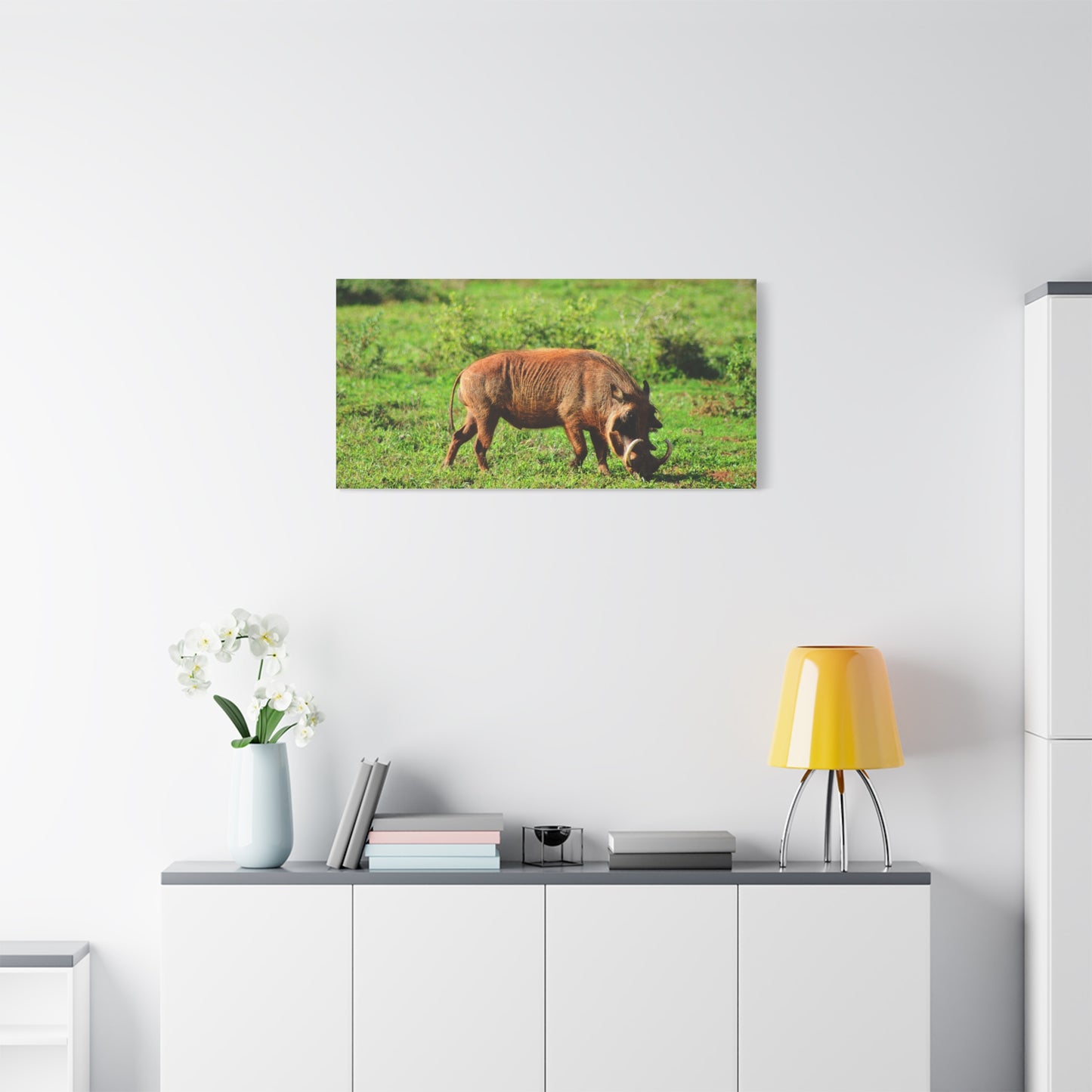 African Warthog - Canvas Print