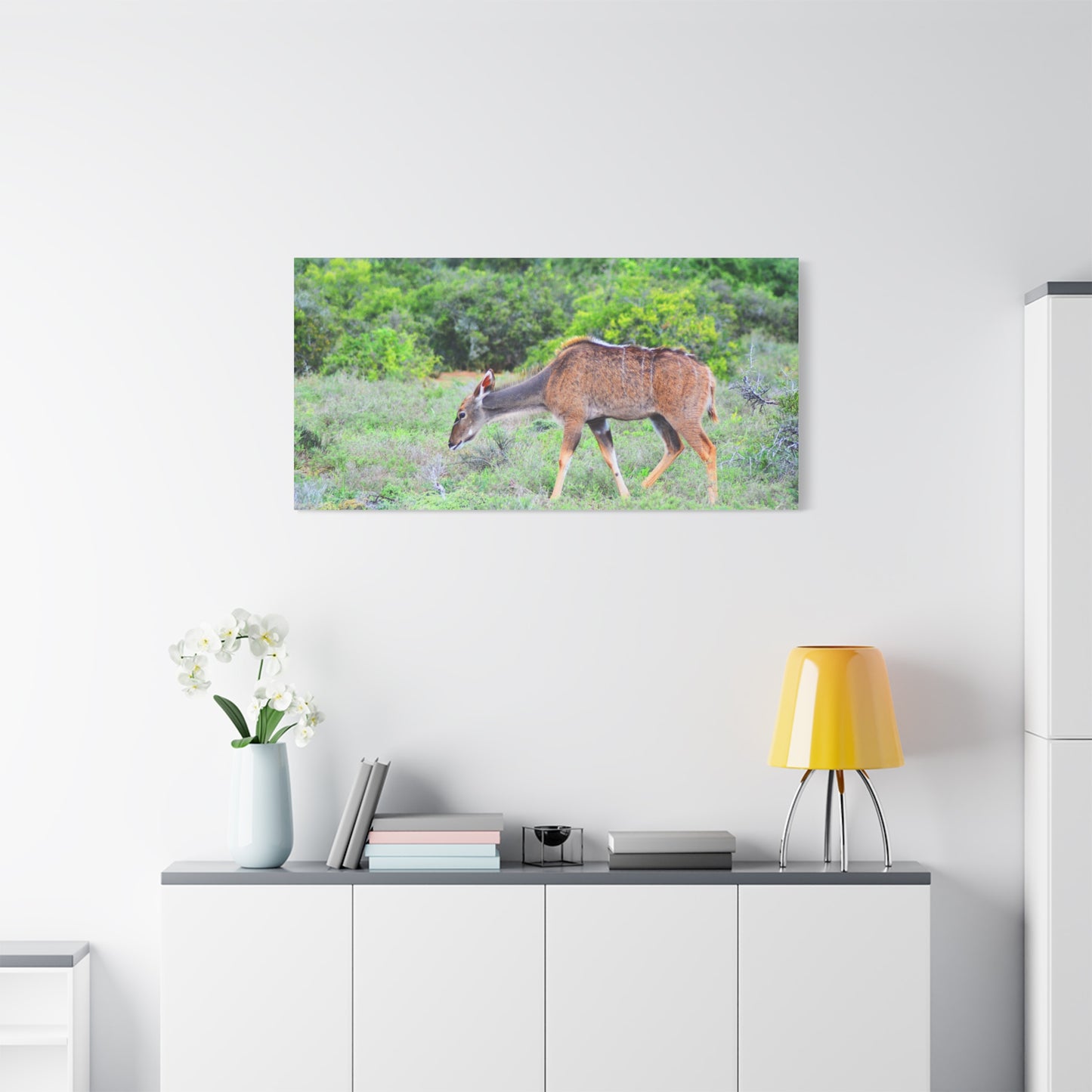Africa Kudu Cow - Canvas Print