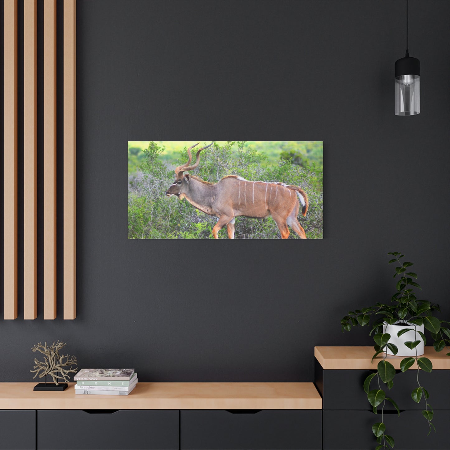 Africa Kudu Bull - Canvas Print