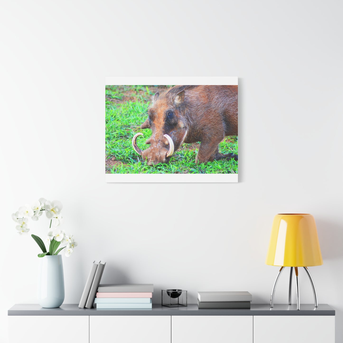 African Warthog Eating - Canvas Print