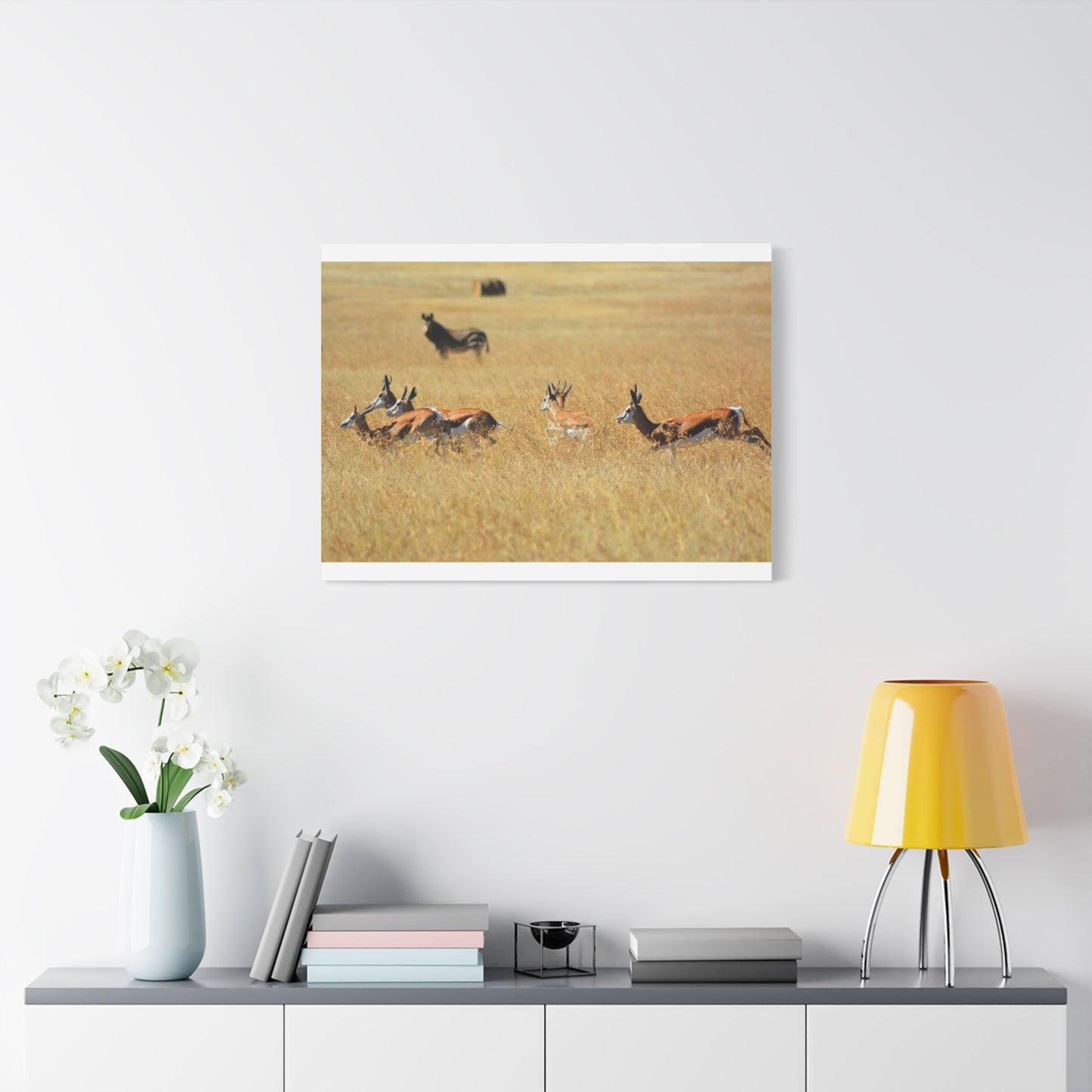 Springbok Herd in African Savannah