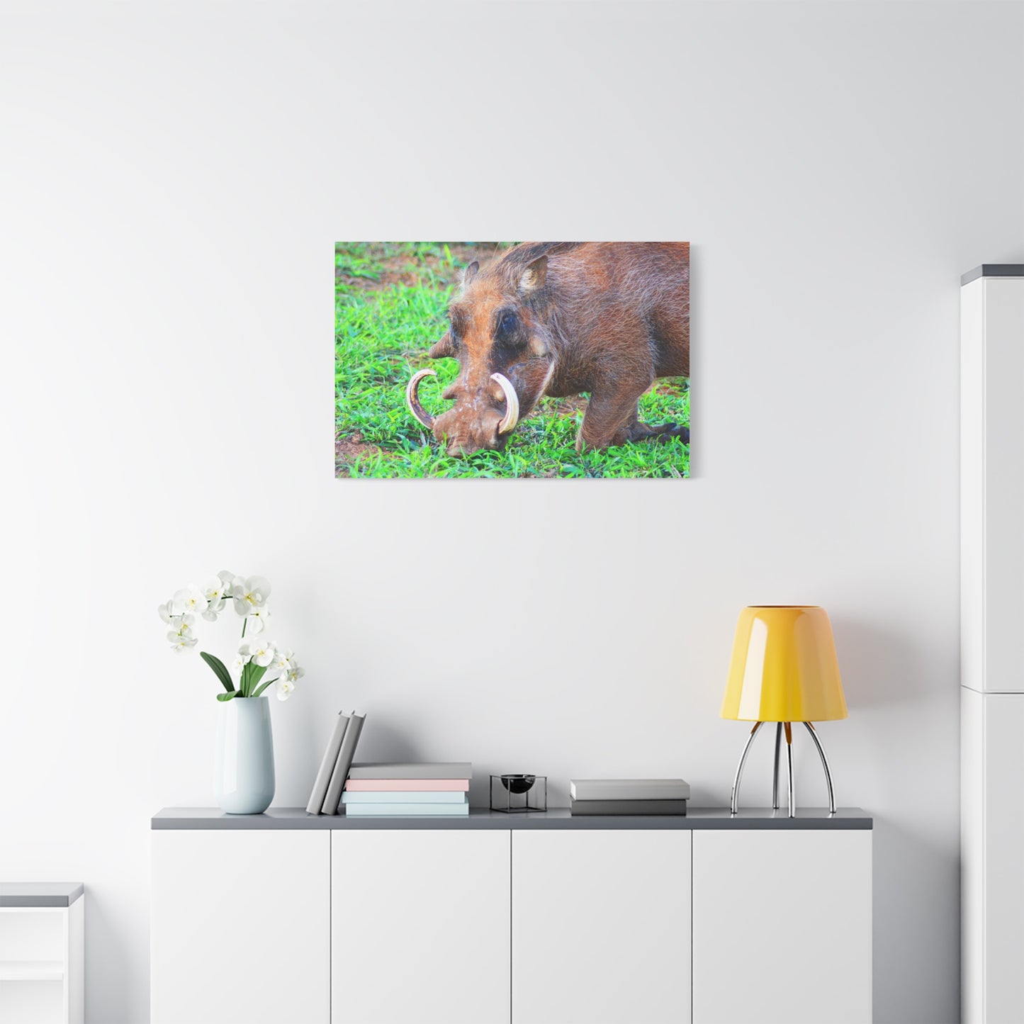 African Warthog Eating - Canvas Print